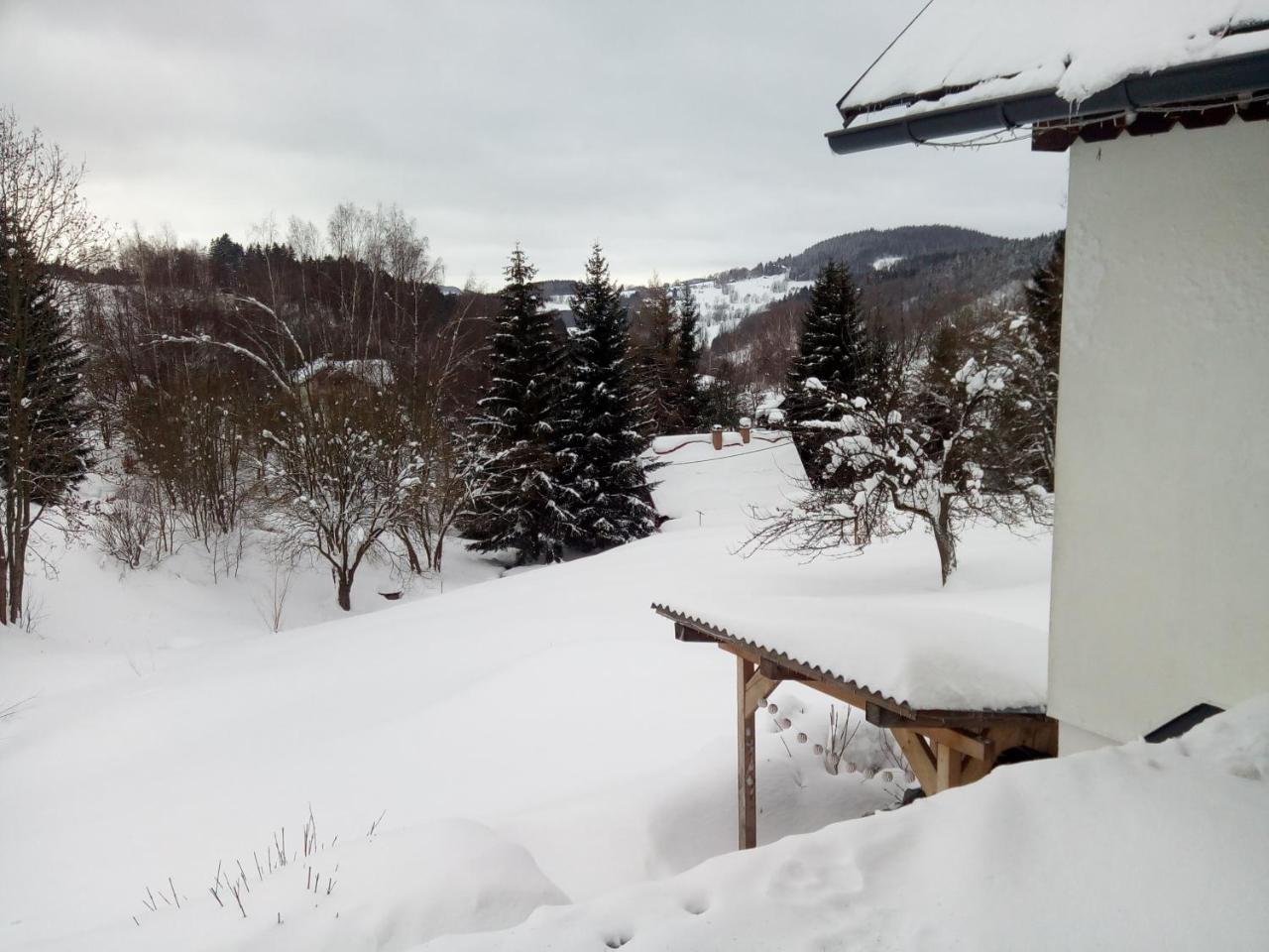 Ferienwohnung Frantiskov 17 Rokytnice nad Jizerou Exterior foto