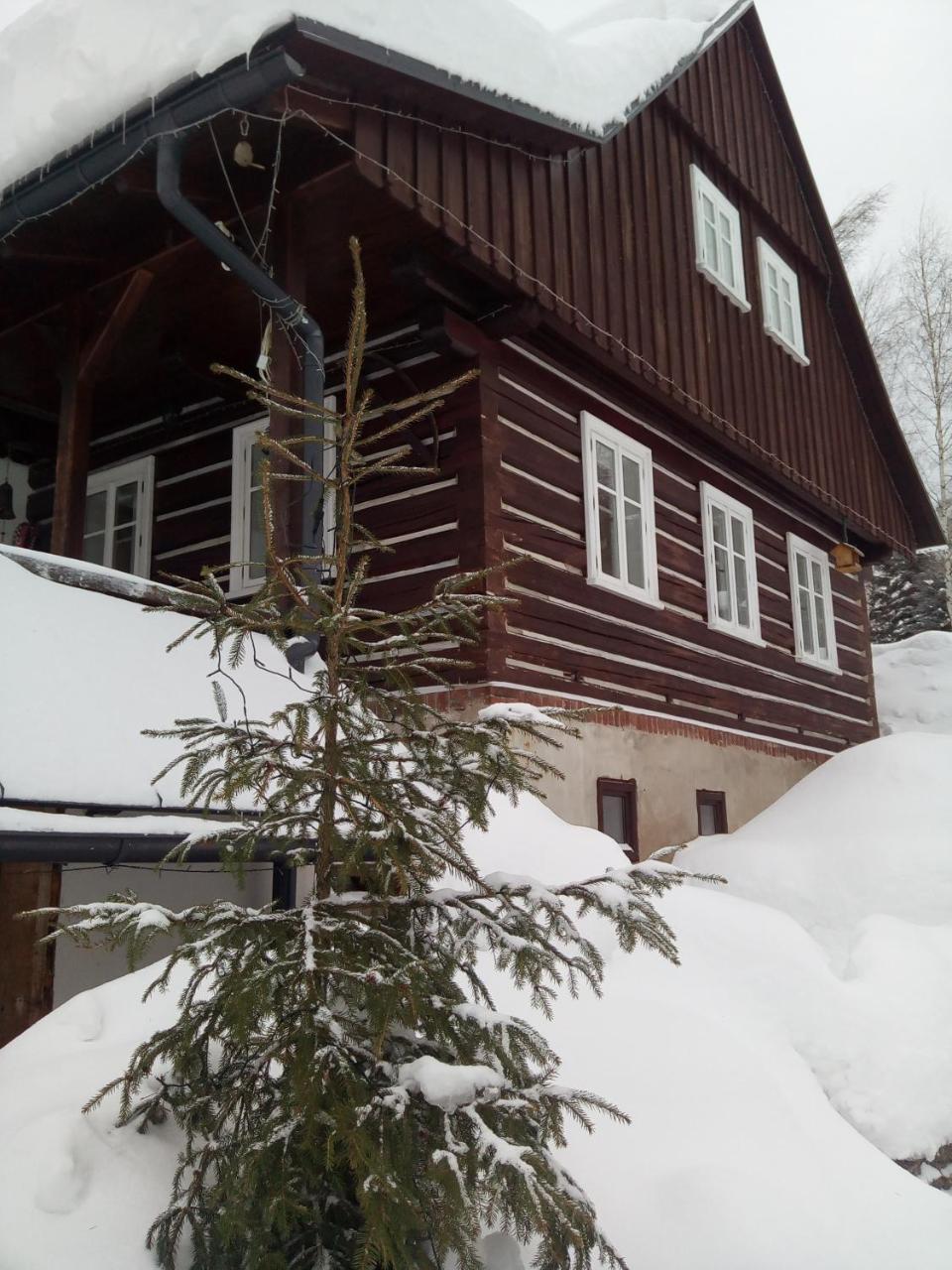 Ferienwohnung Frantiskov 17 Rokytnice nad Jizerou Exterior foto